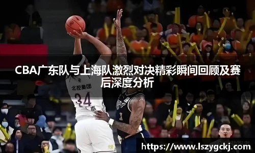 xc体育